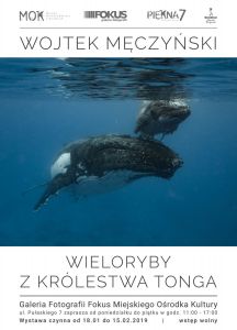 Wojtek Męczyński - Wieloryby z Królestwa Tonga